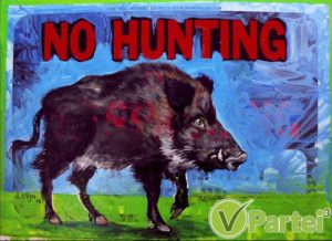 keine Jagd auf Wildschweine