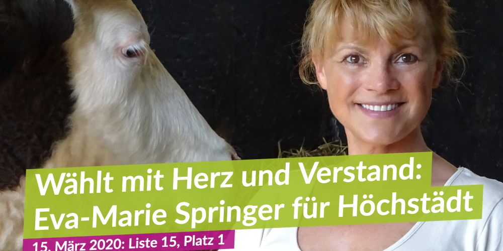 Evi braucht Deine Stimme bei der Kommunalwahl Höchstädt