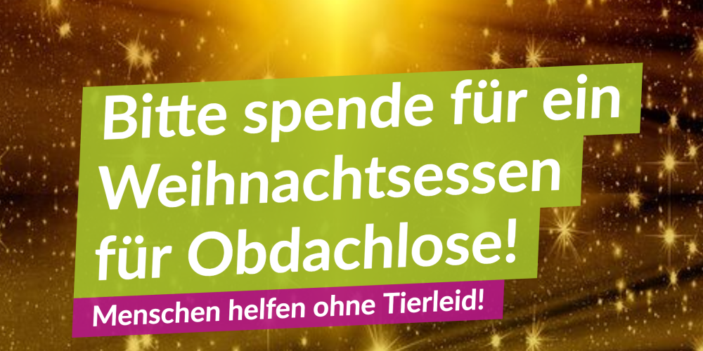 Weihnachtsessen-Spenden-Aktion 2019