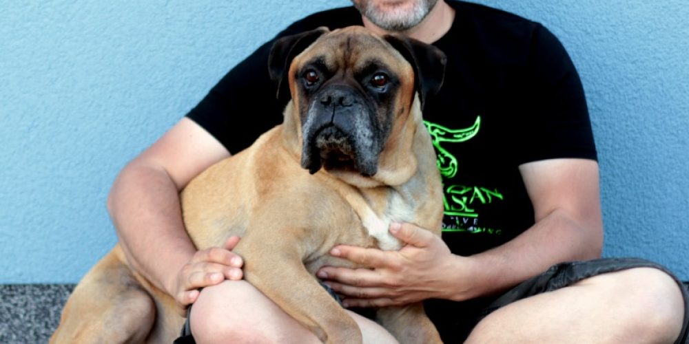 &#8222;Hier kocht Alex&#8220; tritt der V-Partei³ bei