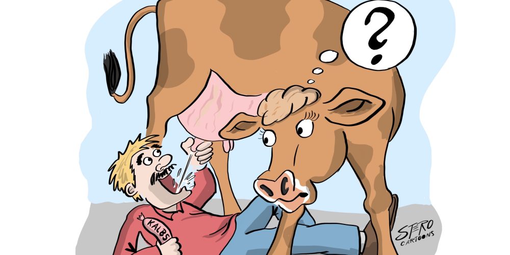 Milchkonsum und Prostatakrebs