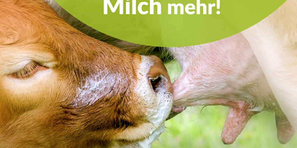 Milchindustrie: 500 Millionen Euro Werbung