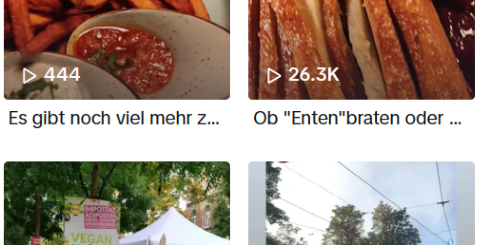 V-Partei³ nun auch auf TikTok