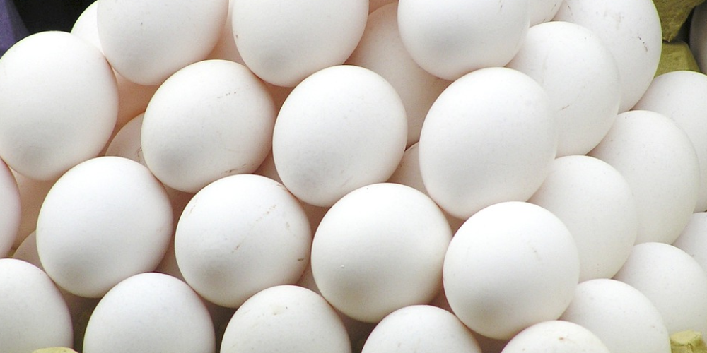 Gifteier: Herr Schmidt, treten Sie zurück!