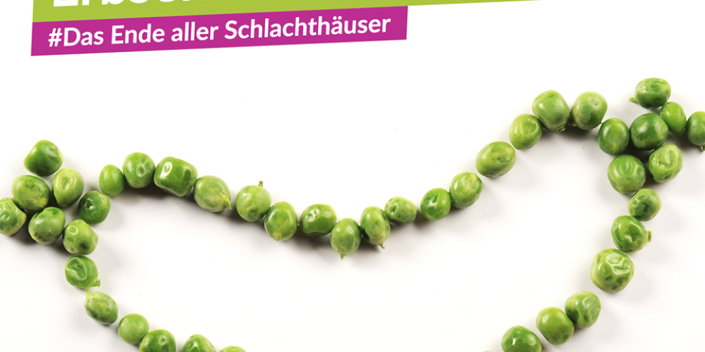 Beyond-Meat-Burger belegt Verfassungswidrigkeit des Tierschutzgesetzes in seiner aktuellen Fassung!