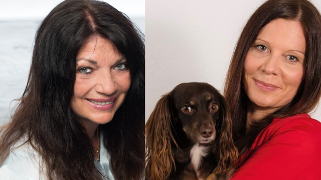 Veggiefreundliche Kommunalwahl in Augsburg 2020!