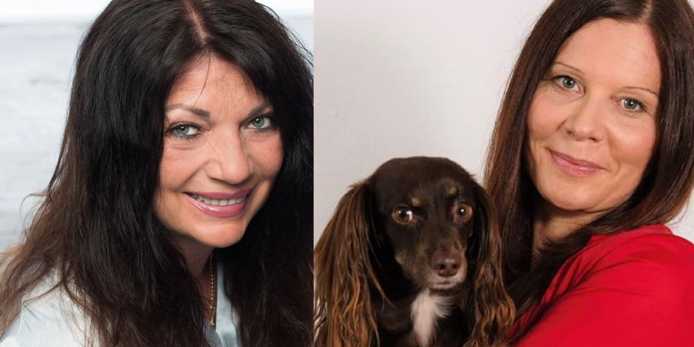 Veggiefreundliche Kommunalwahl in Augsburg 2020!