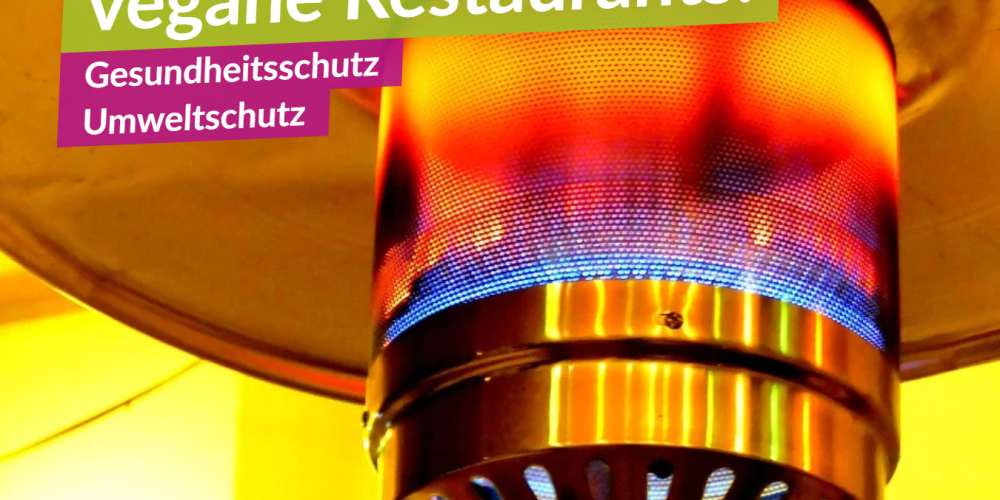 Heizpilze senden falsche Signale!