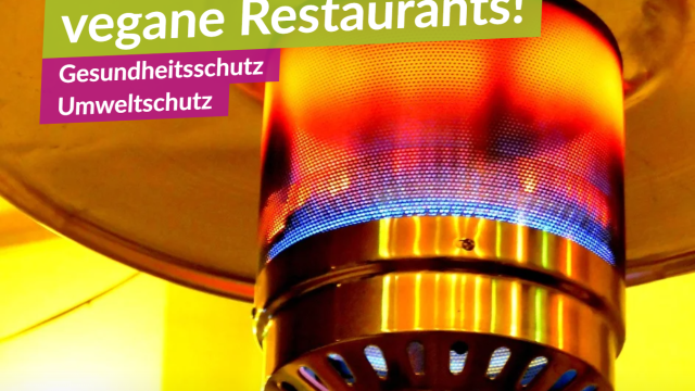 Heizpilze senden falsche Signale!