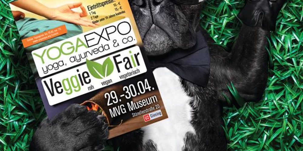 1. Geburtstag und positive Parteientwicklung laden zum Feiern ein