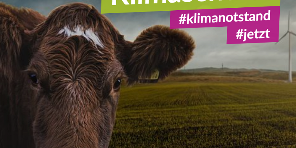 Fleisch essen muss peinlich werden!