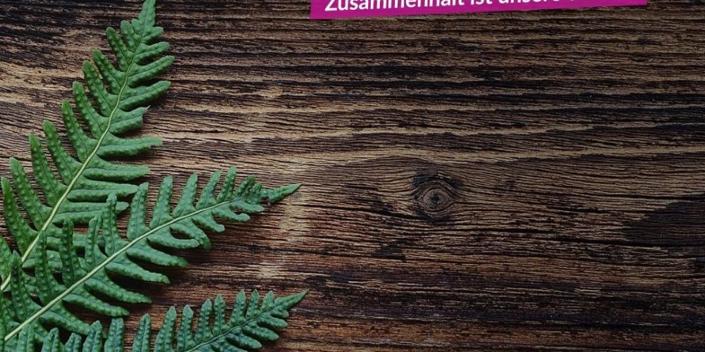 Statement der V-Partei³ zur Corona-Krise