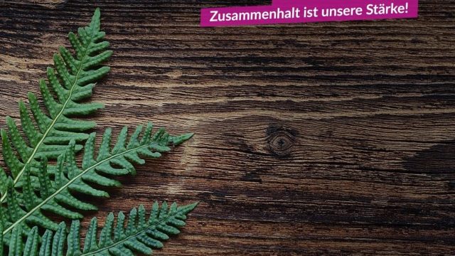 Statement der V-Partei³ zur Corona-Krise