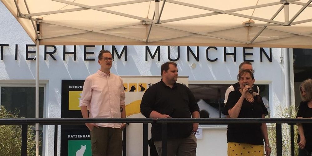 Ein Herz für jede Rasse: Listenhundetag im Münchner Tierheim