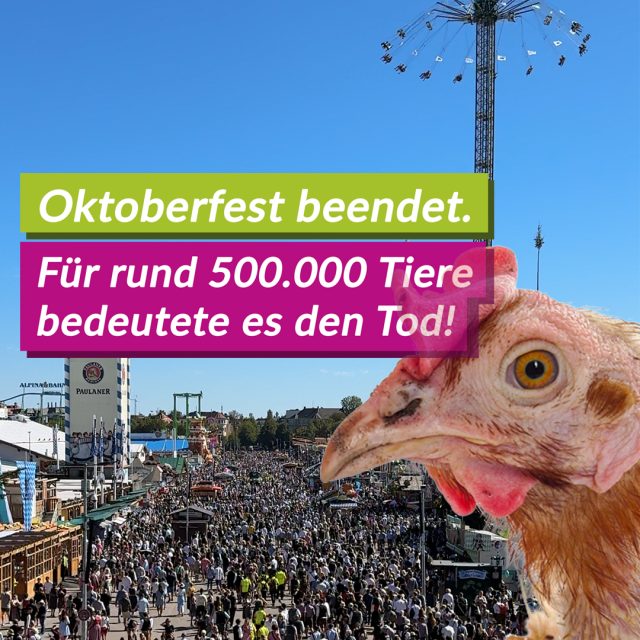 Oktoberfest beendet – für rund 500.000 Tiere bedeutete es den Tod