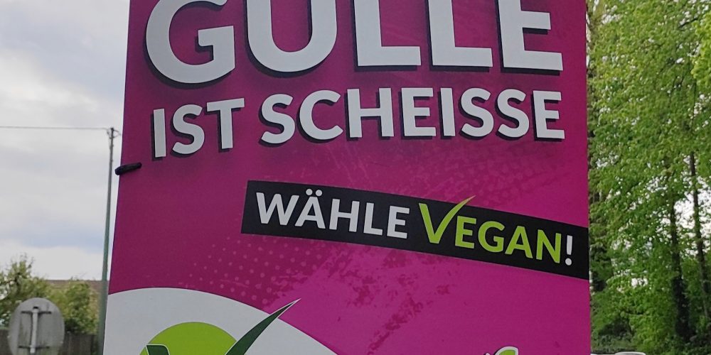 V-Partei³ verzichtet auf Plakate zur Europawahl 2024