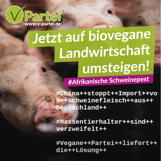 Afrikanische Schweinepest: Jetzt auf vegan umsteigen!