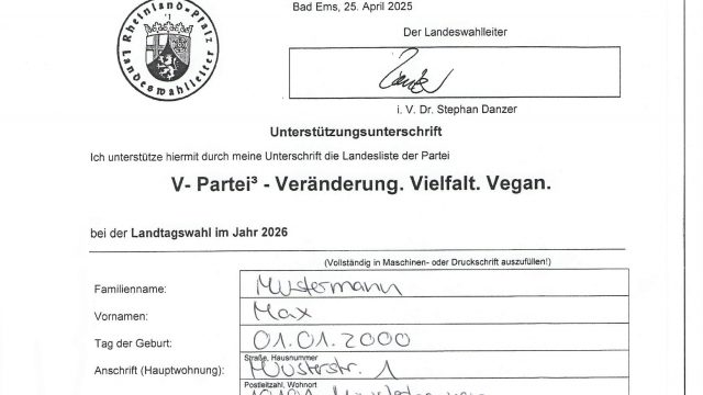 Hilf uns auf den Stimmzettel in Rheinland-Pfalz!