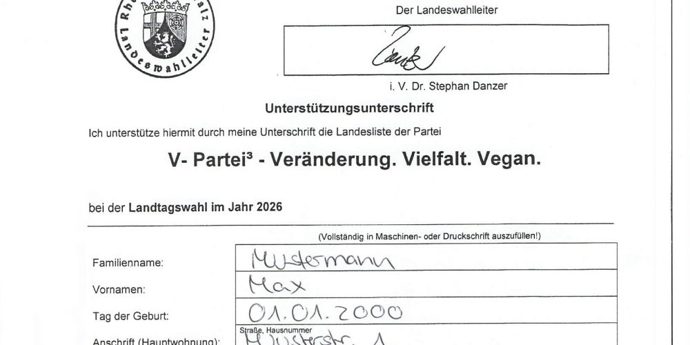 Hilf uns auf den Stimmzettel in Rheinland-Pfalz!