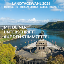 Hilf uns auf den Stimmzettel in Rheinland-Pfalz!