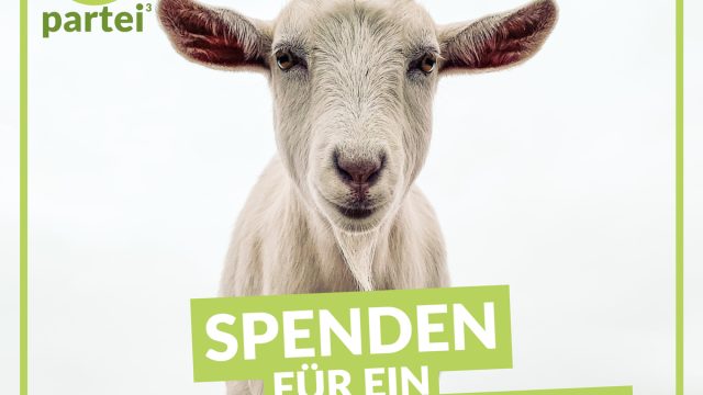 Die Tiere des Lebenshofs SchaZi brauchen unsere Unterstützung!