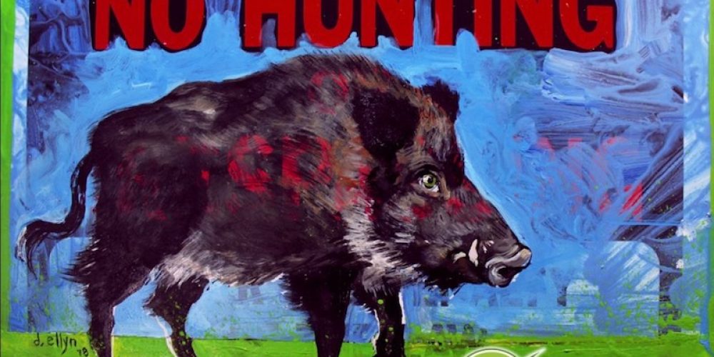 „Vorbeugende“ Jagd auf Wildschweine: blinder oder verräterischer Aktionismus?