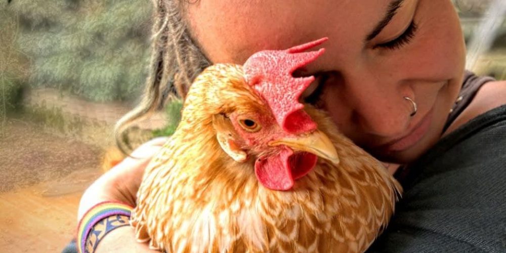 Landtagswahl Bayern: Regensburg-Land nominiert Melanie Zeletzki