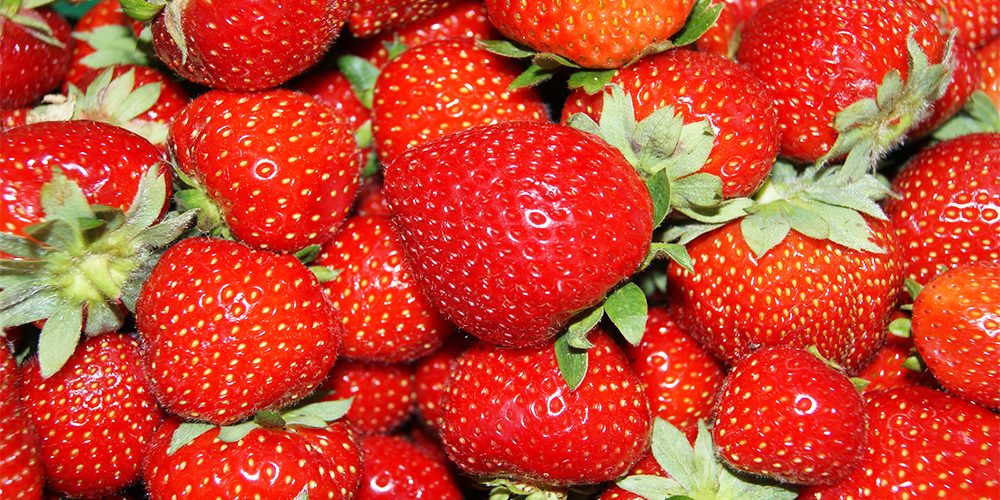 Offener Brief an Minister Schmidt