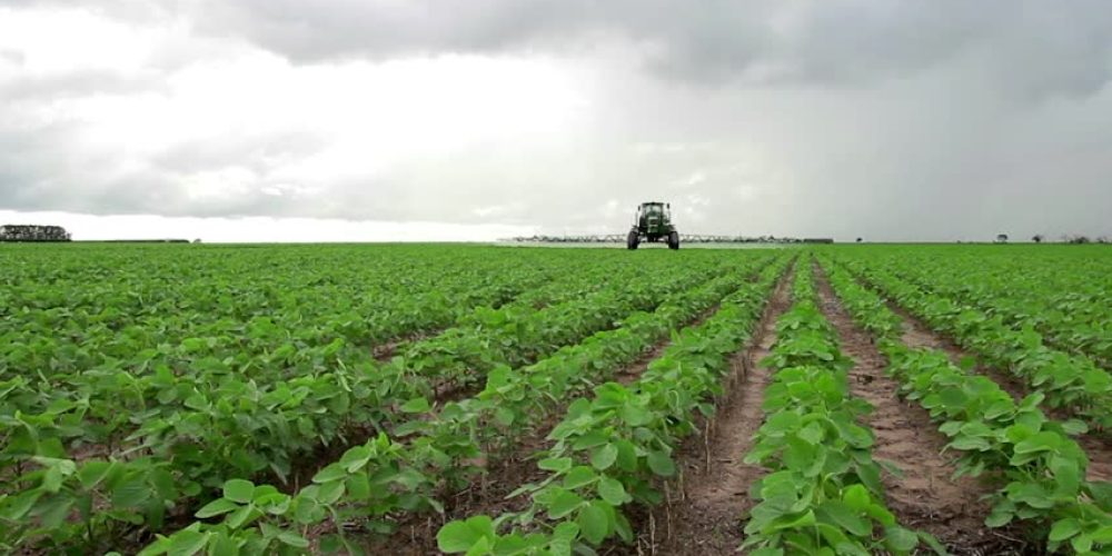 Die V-Partei³ kritisiert die Verlängerung der Zulassung für Glyphosat