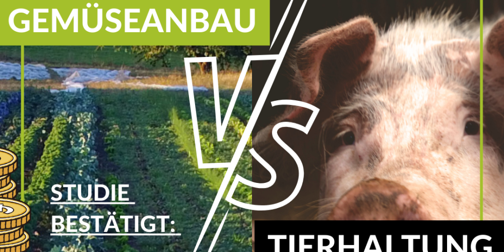 Neue Studie belegt sensationell: Vegane Landwirtschaft ist die Zukunft!