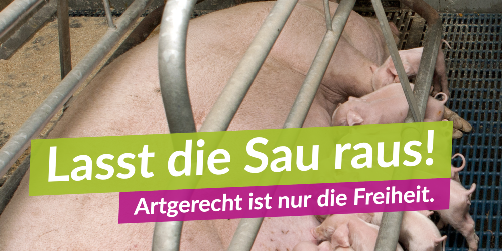 Lasst die Sau raus!