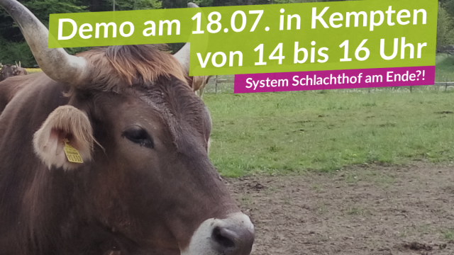 Einladung zur Demo: System Schlachthof am Ende?!
