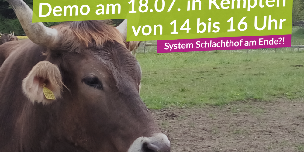Einladung zur Demo: System Schlachthof am Ende?!