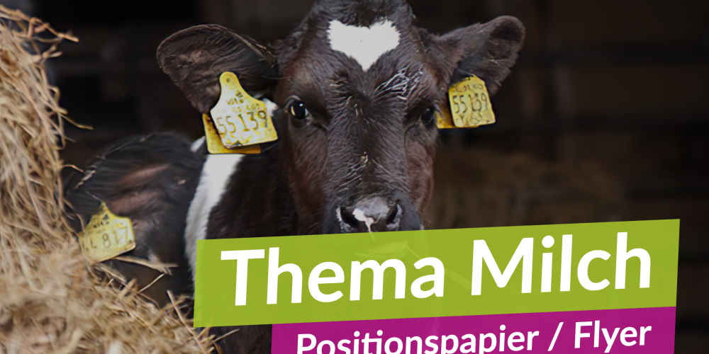 Unsere Position gegen Milch