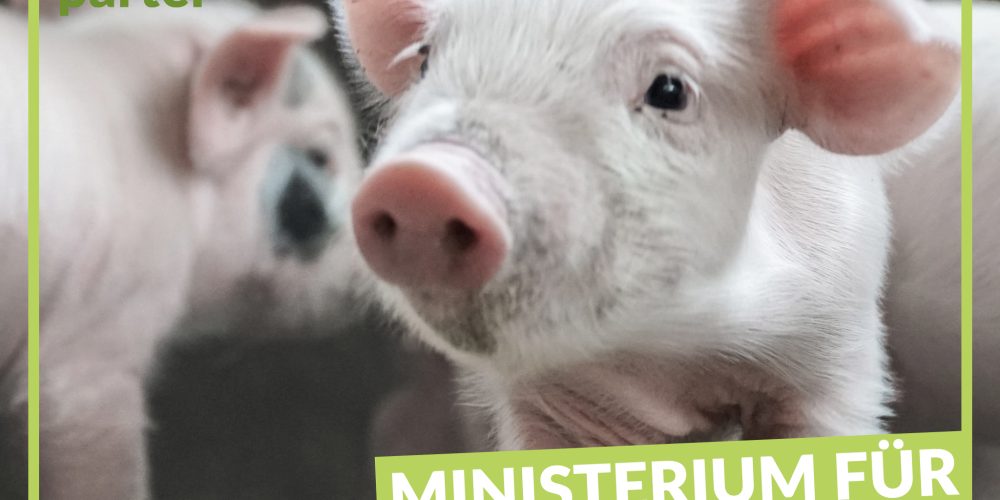Ministerium für Tierrechte