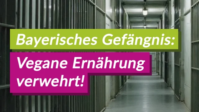 Gericht bestätigt: Vegane Ernährung im bayerischen Gefängnis nicht verpflichtend – V-Partei³ kritisiert Entscheidung als Rückschritt für Tierethik und Menschenrechte