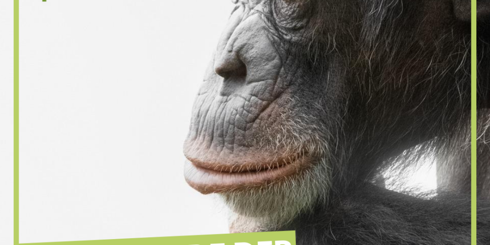 Ende der Zoohaltung!