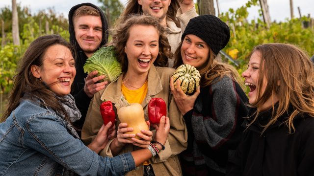 So geht bio-vegan: solidarische Landwirtschaft in Berlin/Brandenburg