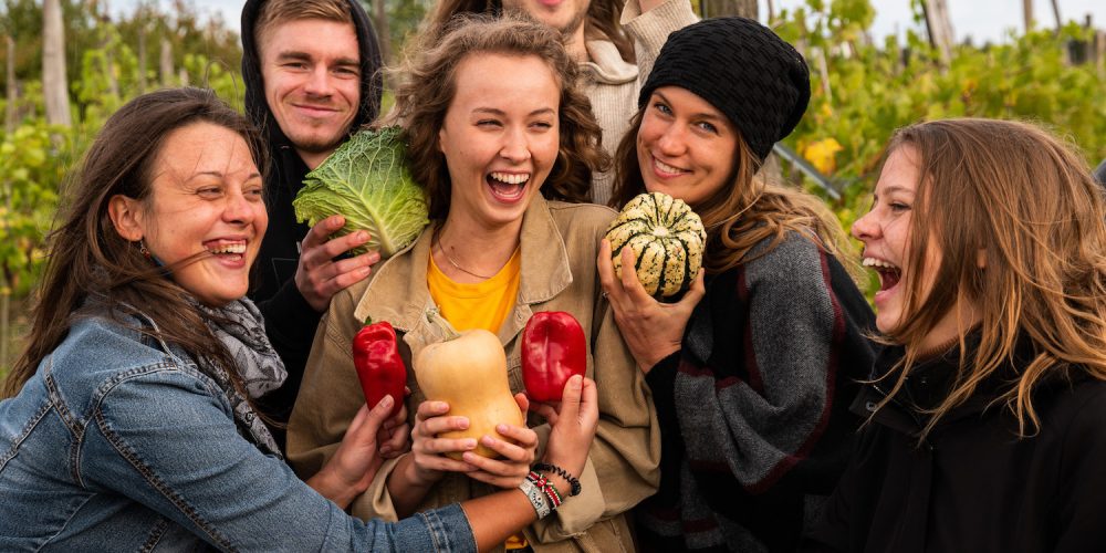 So geht bio-vegan: solidarische Landwirtschaft in Berlin/Brandenburg