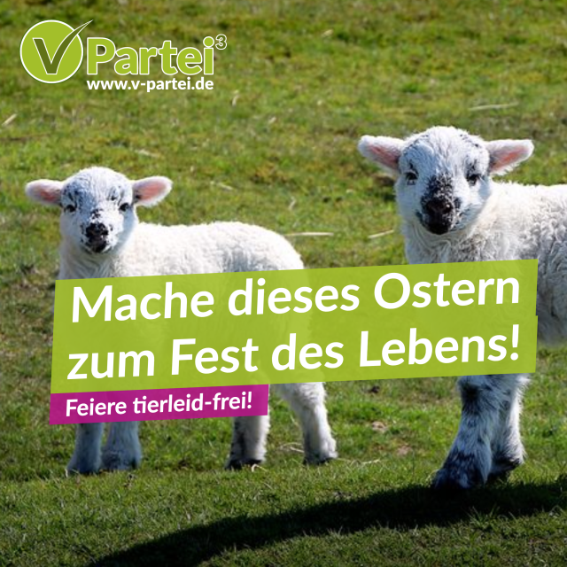 Mach dieses Ostern zu einem ganz besonderen!
