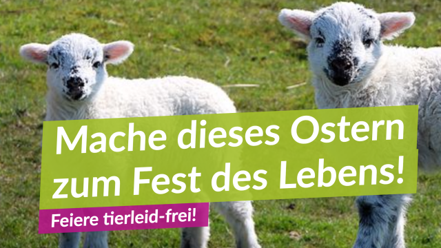 Mach dieses Ostern zu einem ganz besonderen!
