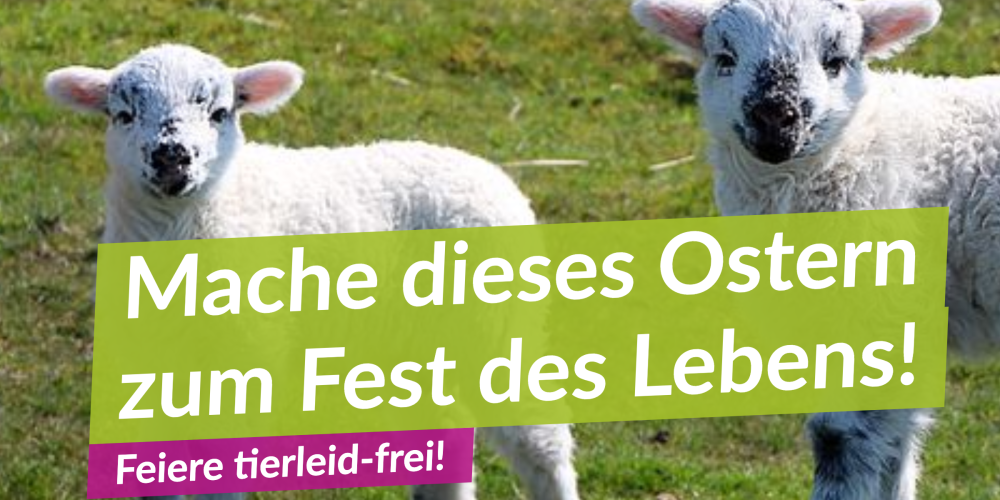 Mach dieses Ostern zu einem ganz besonderen!