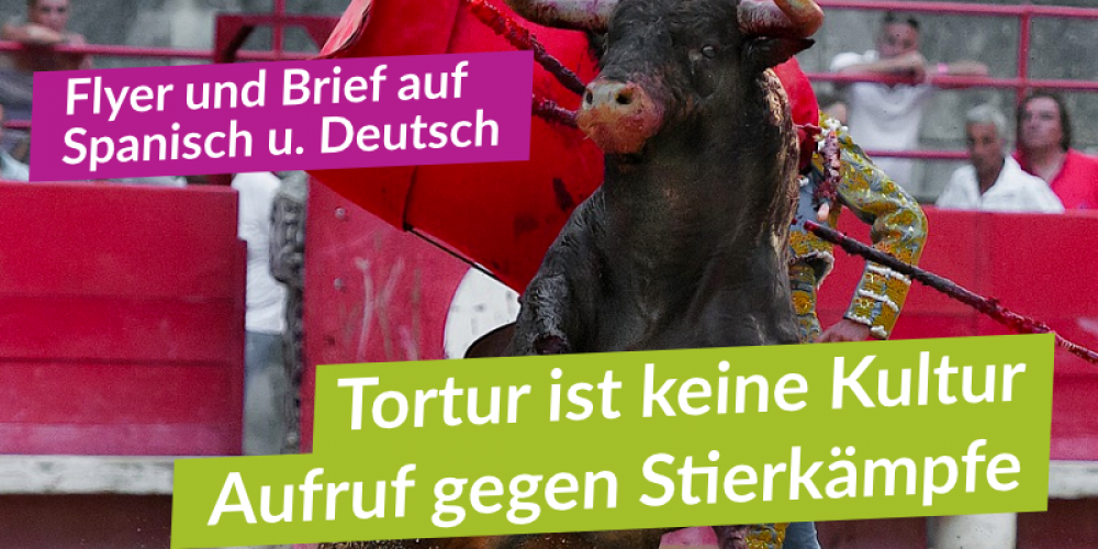 Aufruf gegen Wiedereinführung der Stierkämpfe