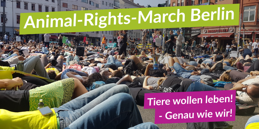 Hellgrünes Leuchten auf Deutschlands größter Tierrechtsdemo