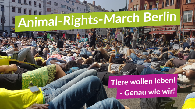 Hellgrünes Leuchten auf Deutschlands größter Tierrechtsdemo