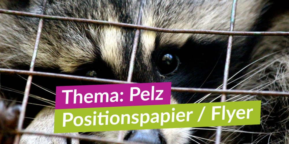 Unsere Position gegen Pelz