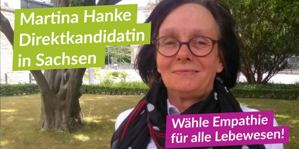 Direktkandidatin Martina Hanke