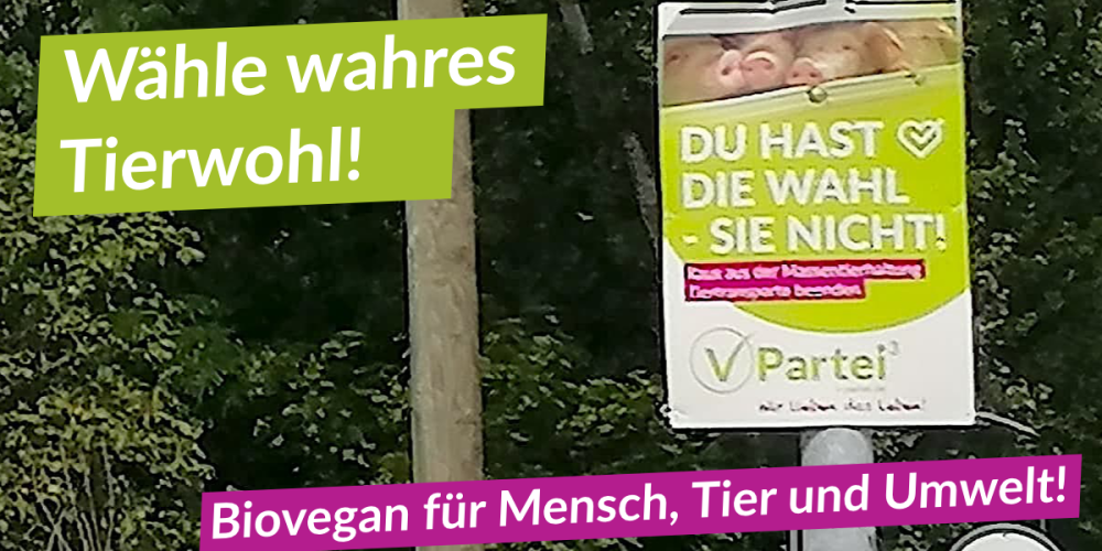 Bio-Vegan ist wahres Tierwohl