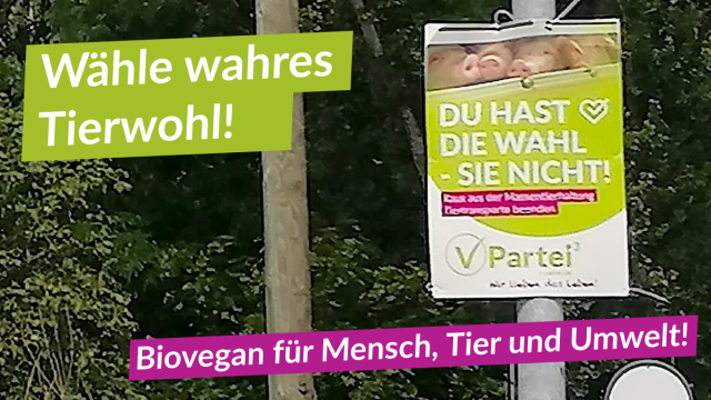 Bio-Vegan ist wahres Tierwohl