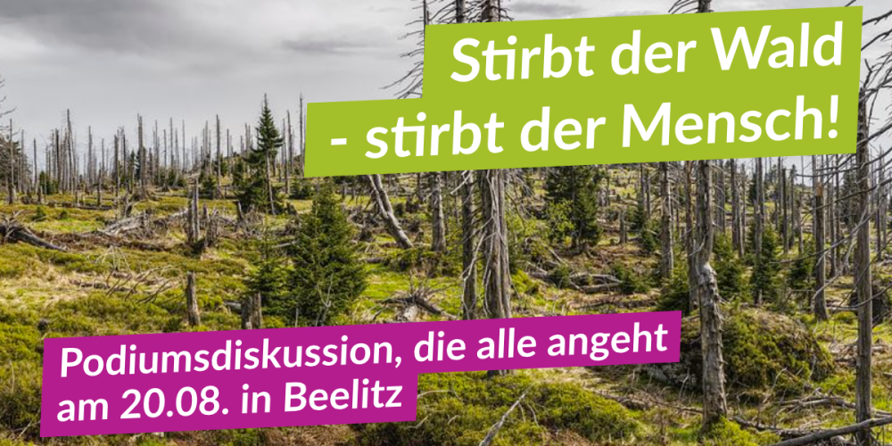 Podiumsdiskussion zum Thema Wälder in Brandenburg